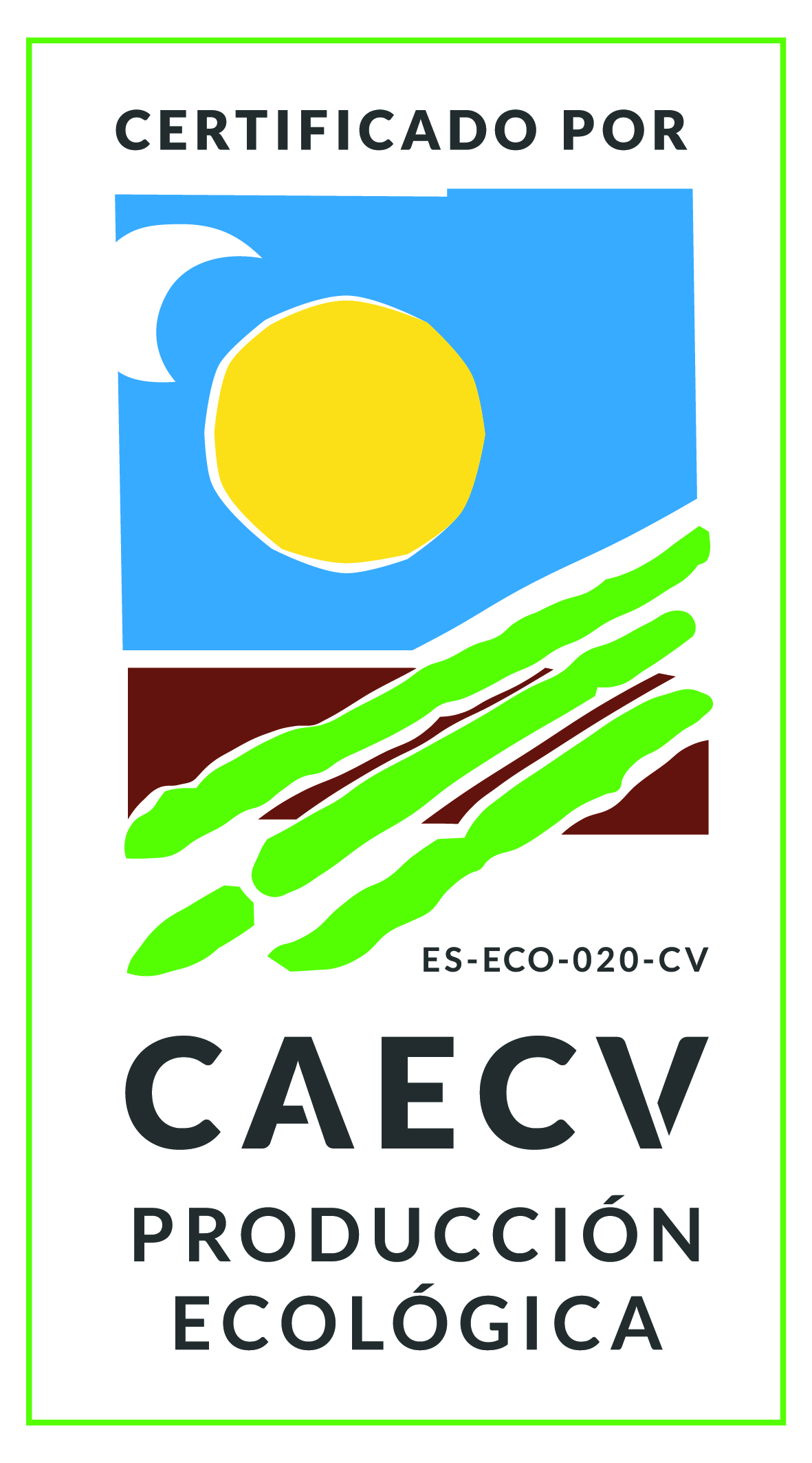 Logo CAECV